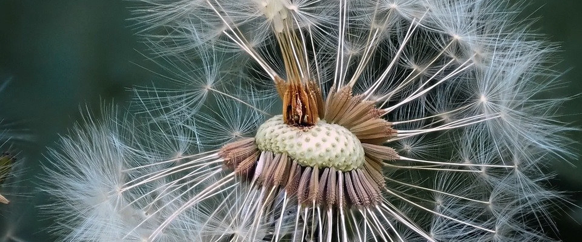 体育博彩PG电子